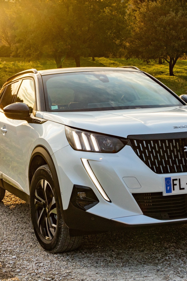 Белый внедорожник Peugeot 2008 GT Line 2019 года на дороге в лесу