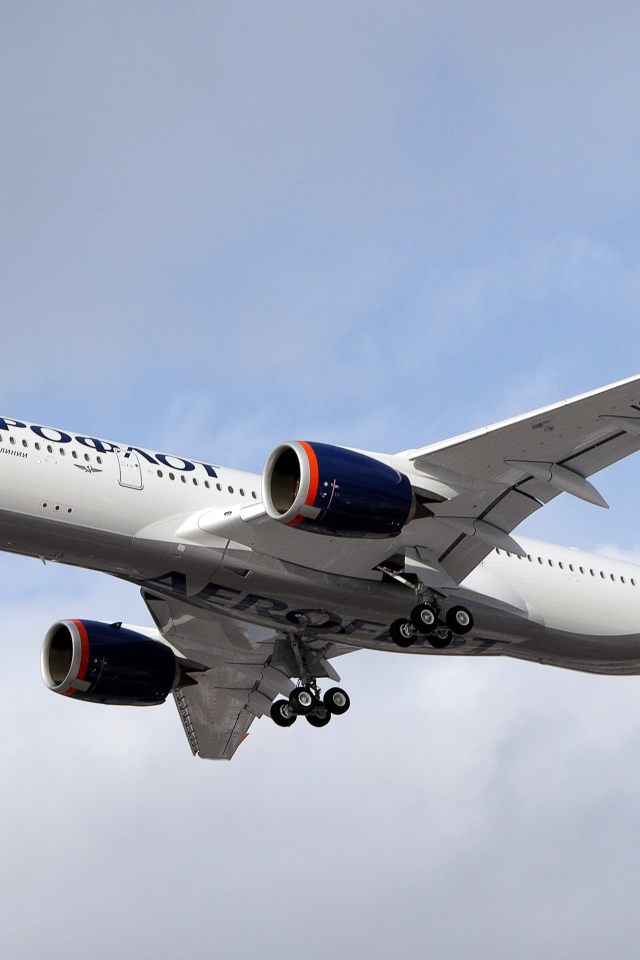Aeroflot White Airbus A350-900 Passenger