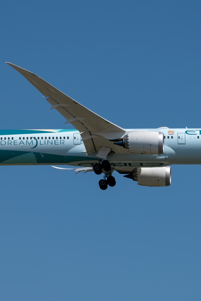 Пассажирский самолет авиакомпании  Dreamliner убирает шасси в небе 
