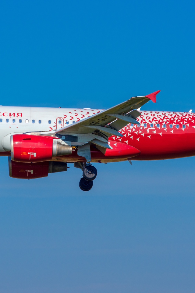 Большой пассажирский самолет в голубом небе 