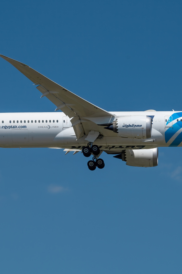 Большой пассажирский самолет взлетает в голубом небе