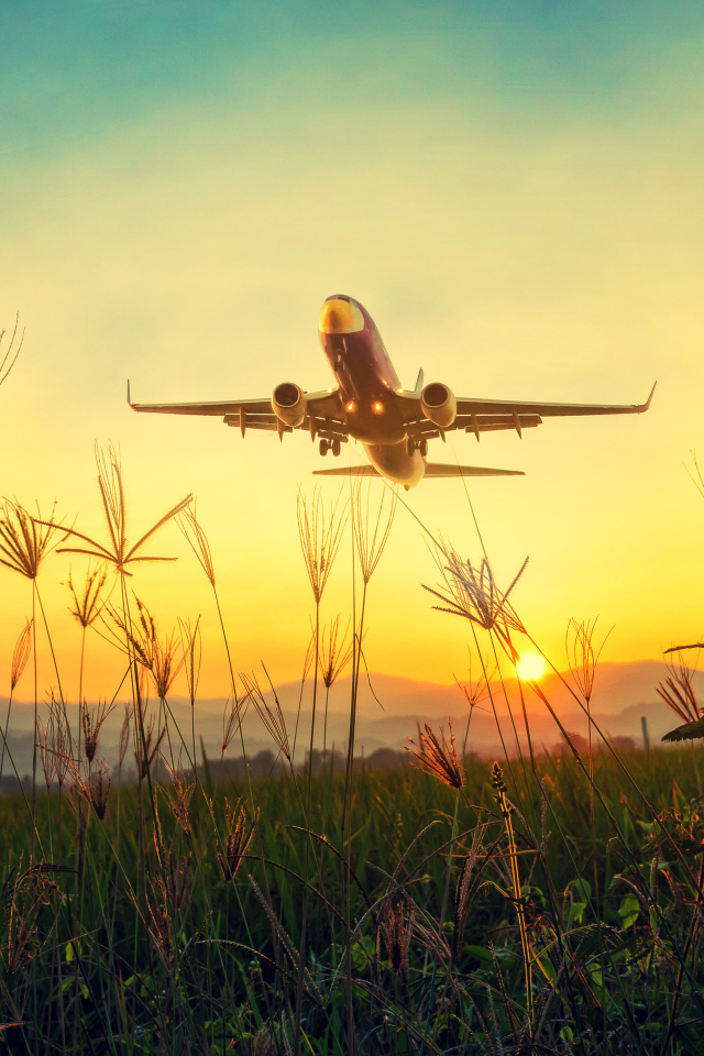 Большой пассажирский самолет взлетает над полем на рассвете 
