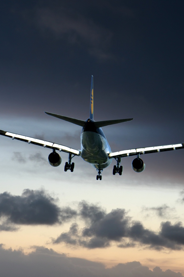 Большой самолет в небе с черными облаками 