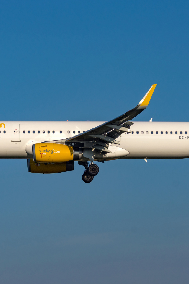Пассажирский  Airbus A321-200S авиакомпании  Vueling в небе 