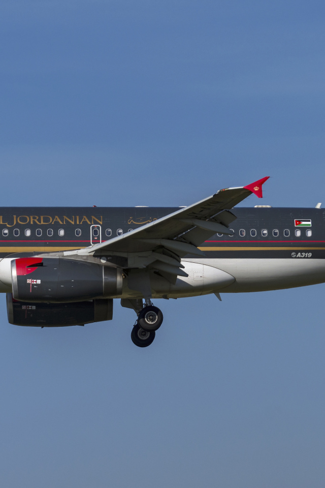 Пассажирский  Airbus A319-100 авиакомпании  Royal Jordanian в небе 