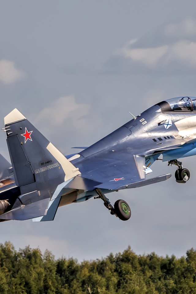 Истребитель Су-30 Su-30SM взлетает в небо 