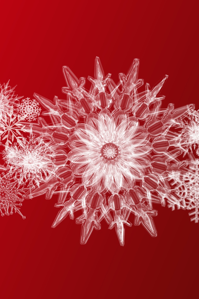 Beautiful ice snowflakes on a red background