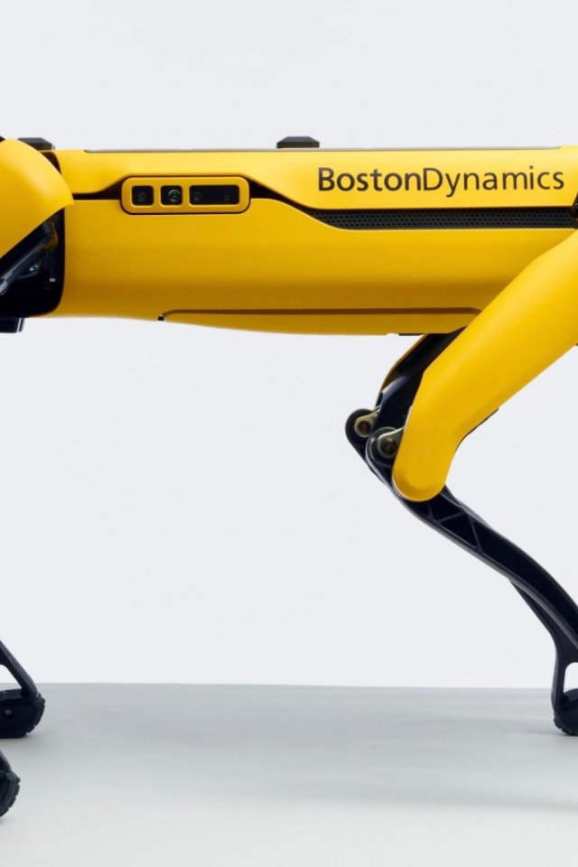Желтый четвероногий робот Спот на белом фоне