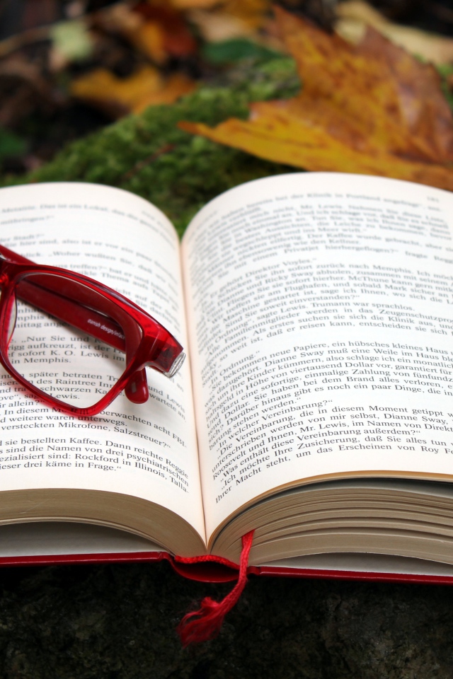 Книга с красными очками лежит на земле 