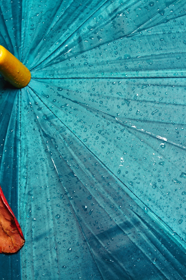 Желтый лист лежит на голубом мокром зонте