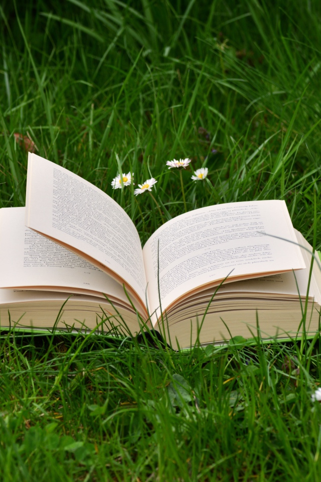 Открытая книга лежит на зеленой траве 