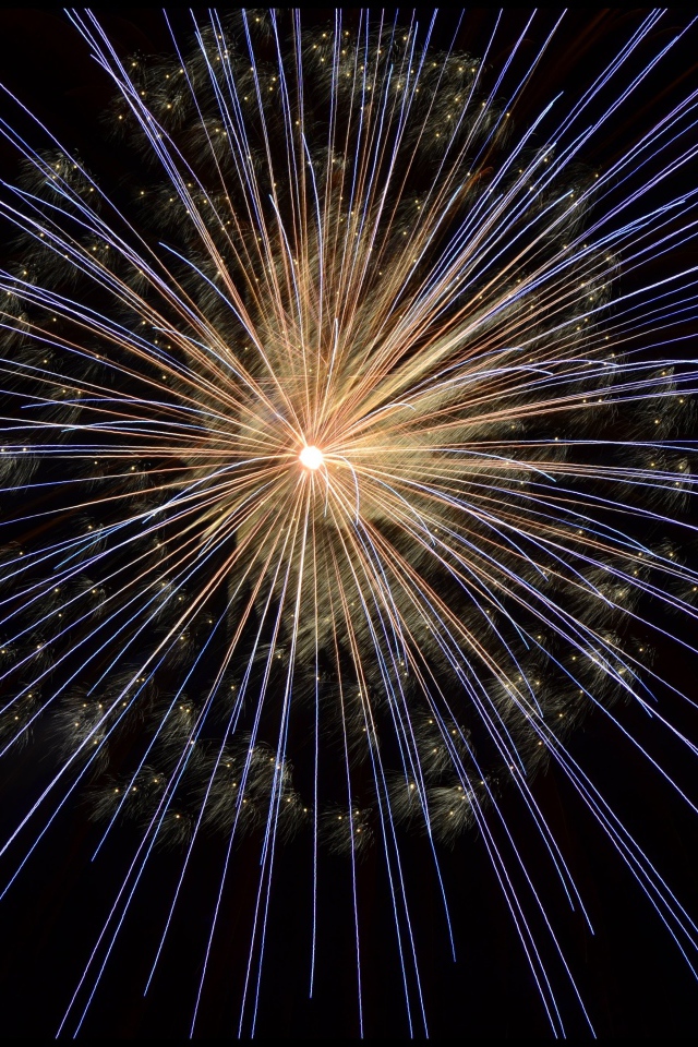 Bright sparks of fireworks in the night sky