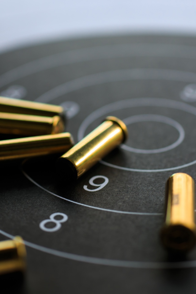 Мишень с патронами крупным планом 