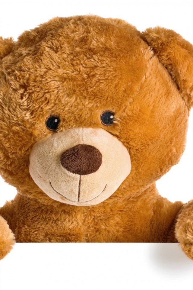 Милый плюшевый медвежонок на белом фоне