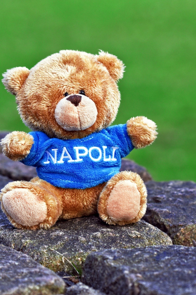 Маленький игрушечный медвежонок сидит на камнях 