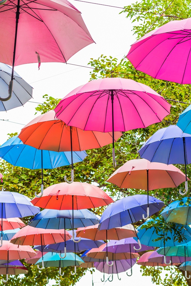 Много разноцветных зонтов в парке 