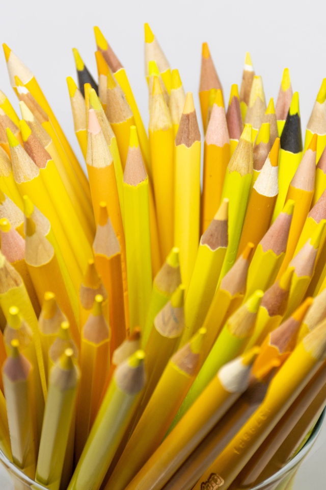 Много желтых карандашей на белом фоне крупным планом