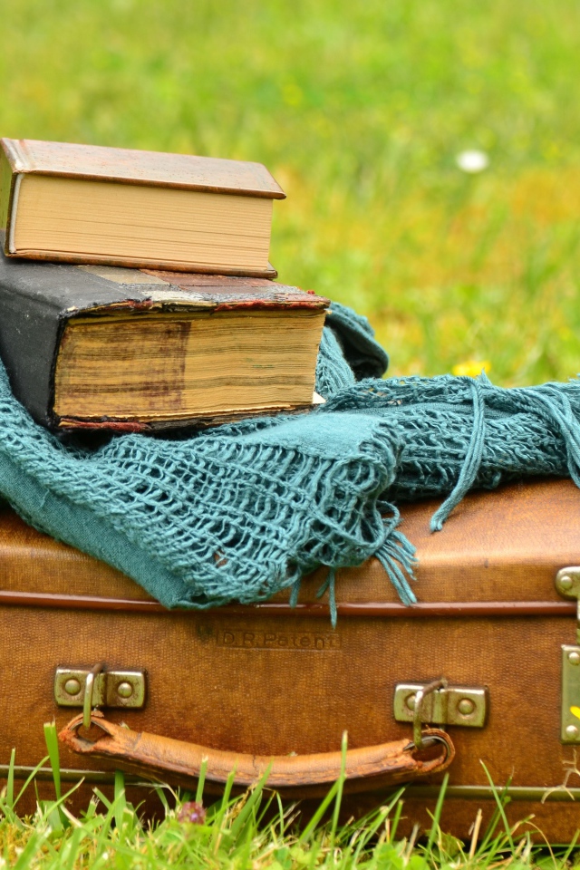 Старый чемодан с книгами и шарфом на траве