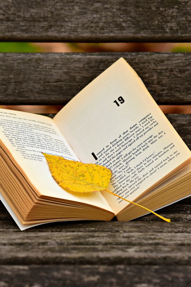 Открытая книга с желтым листом на лавке 