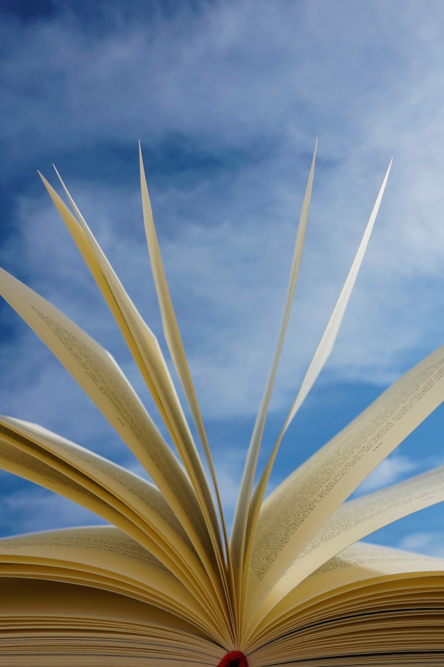 Открытые страницы книги на фоне голубого неба