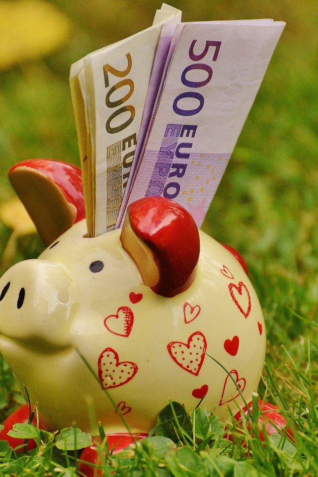 Свинья копилка с купюрами евро на траве