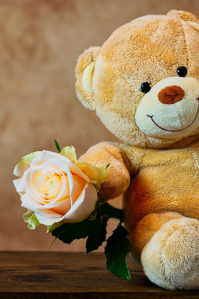Медвежонок Тедди с розой за шторой 