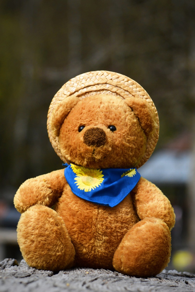 Плюшевый медвежонок в шляпе на земле 