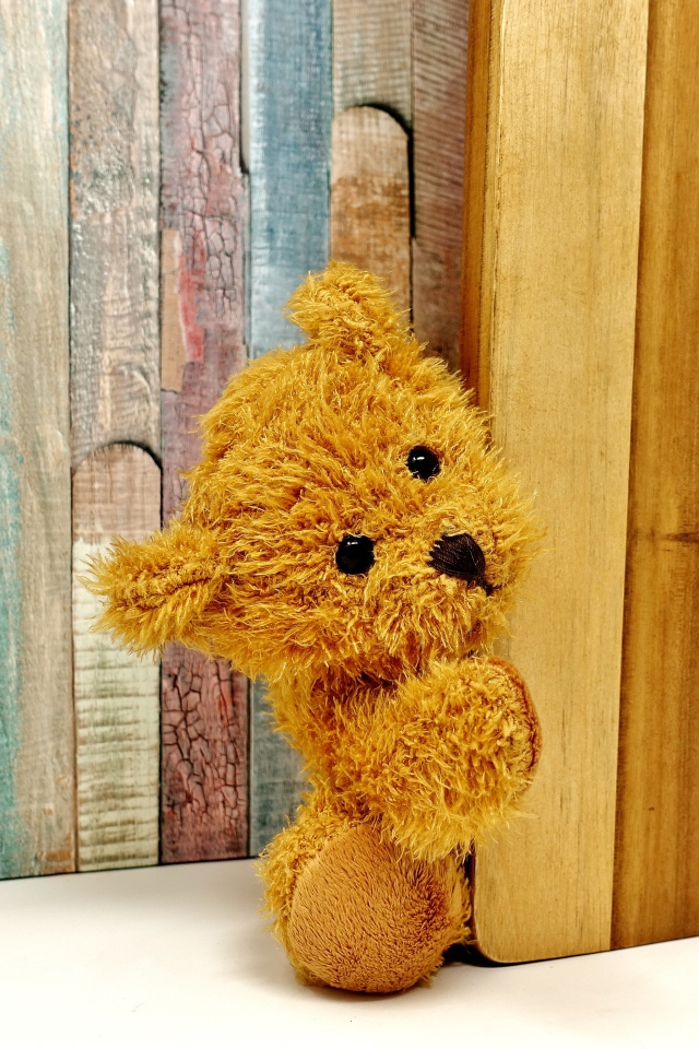 Медвежонок Тедди выглядывает из-за двери 