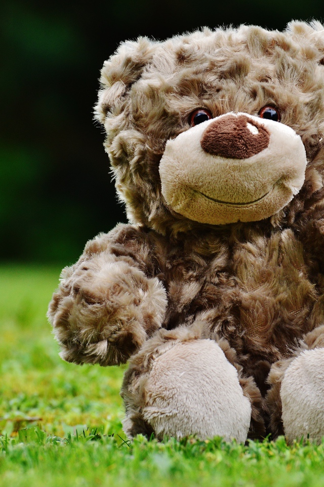 Игрушечный медвежонок сидит на зеленой траве