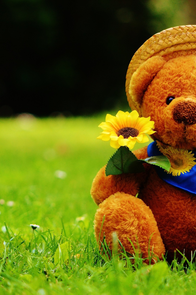 Мишка Тедди с цветком сидит на зеленой траве