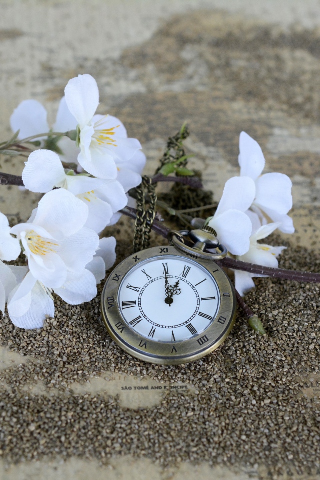 Часы лежат на земле с цветущей веткой 