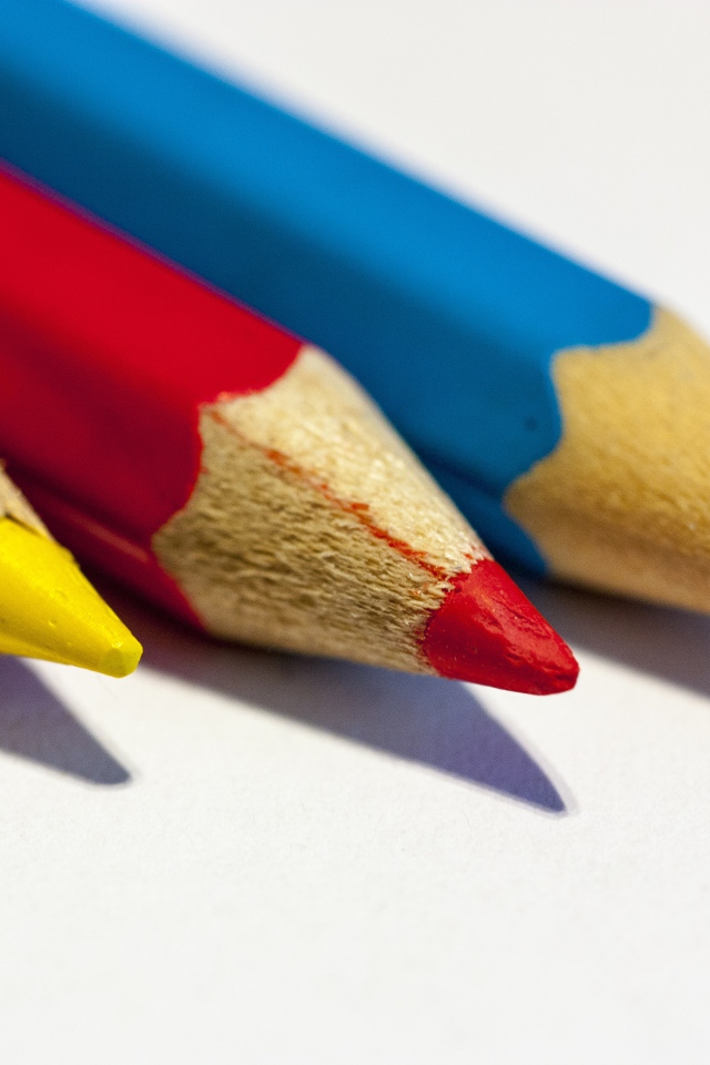 Три разноцветных карандаша на белом фоне