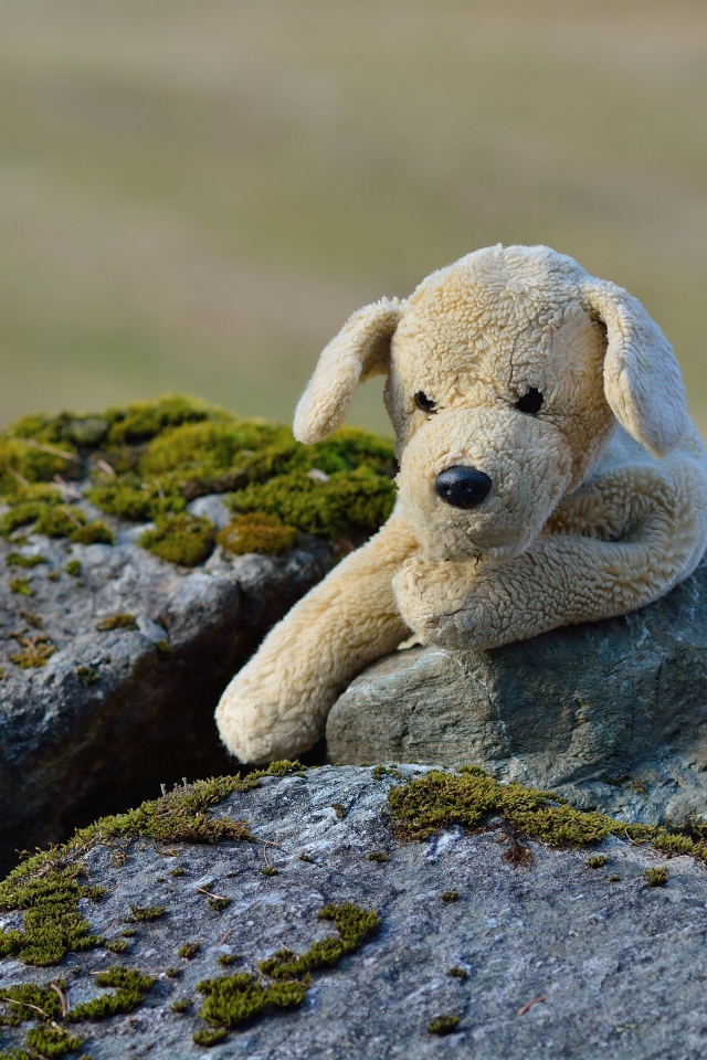 Игрушечная собака лежит на камне  