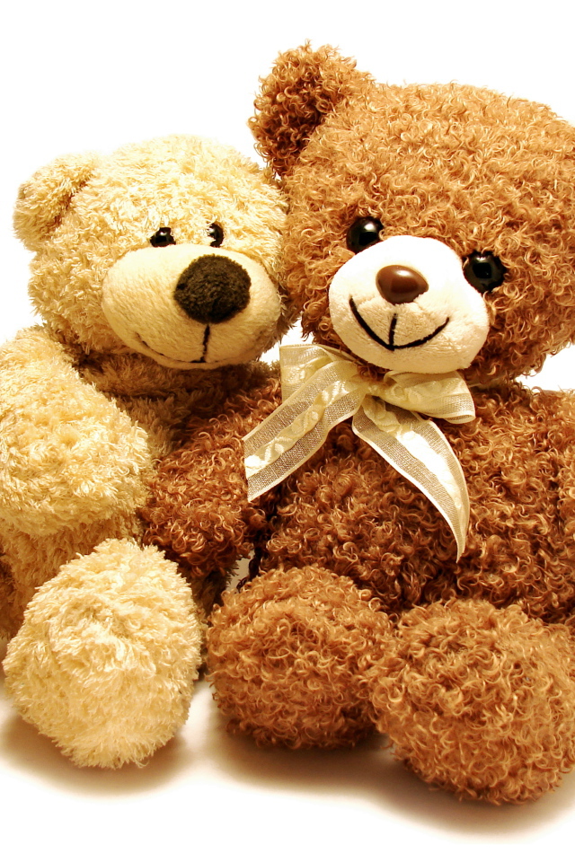 Два медвежонка Тедди на белом фоне