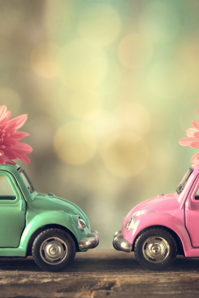 Две игрушечные машинки с цветами розовой хризантемы