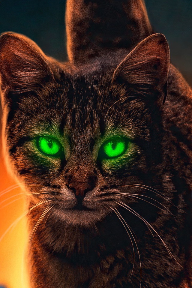 Серый зеленоглазый кот с бабочками