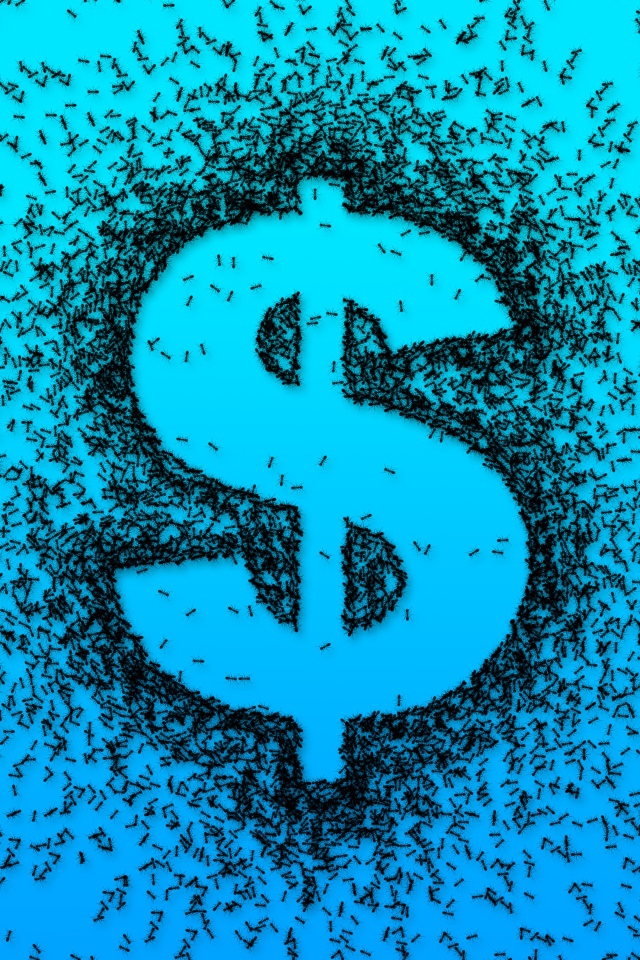 Dollar sign with black ants on a blue background