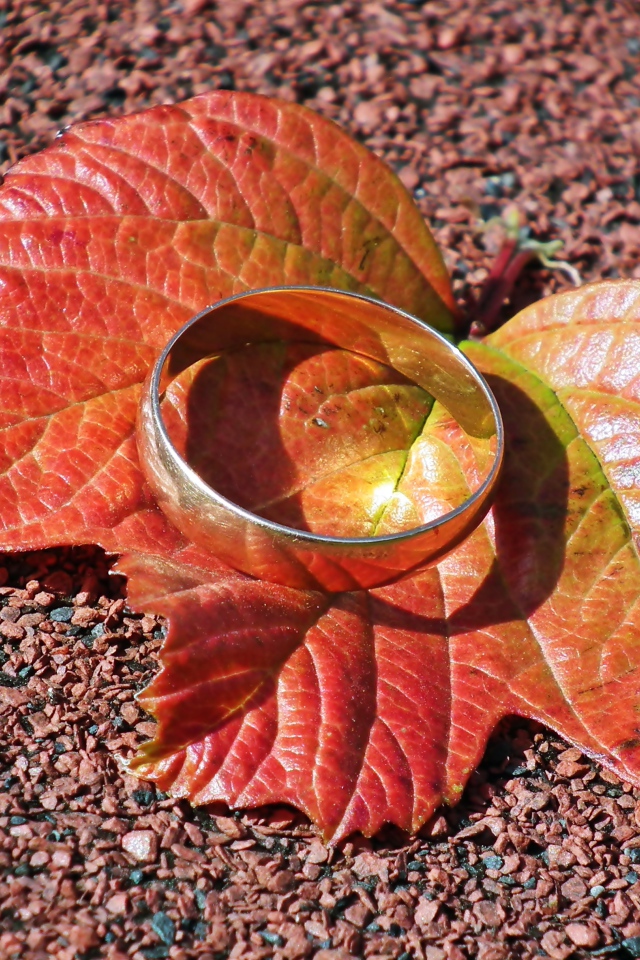Серебряное кольцо лежит на оранжевом листе