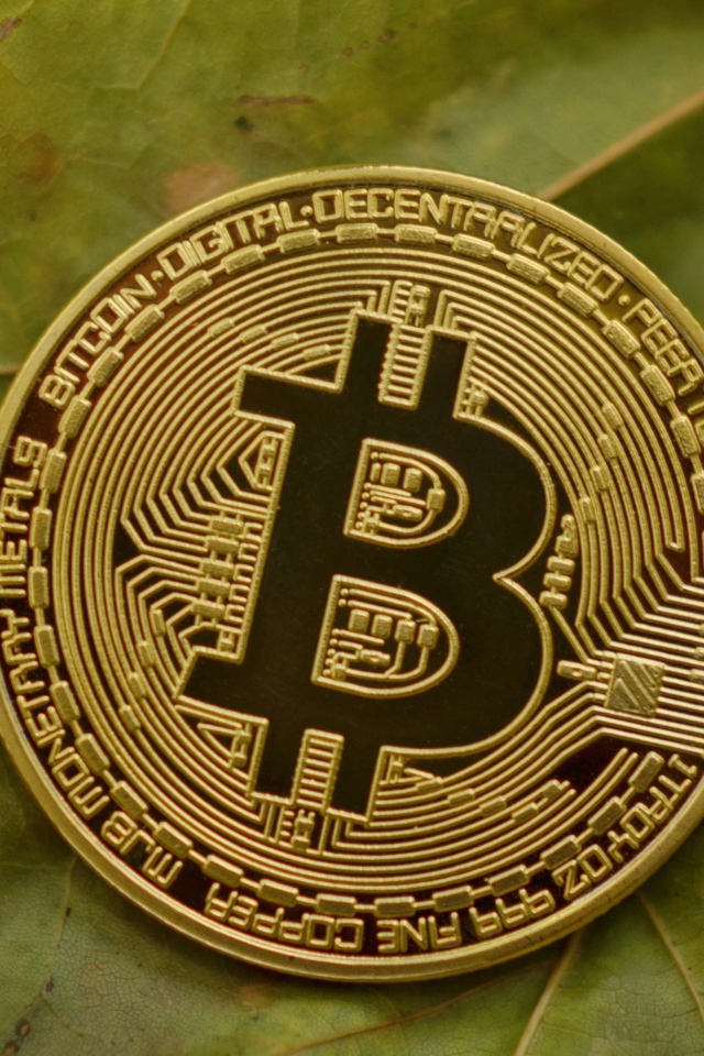 Золотая монета биткоин лежит на зеленом листе