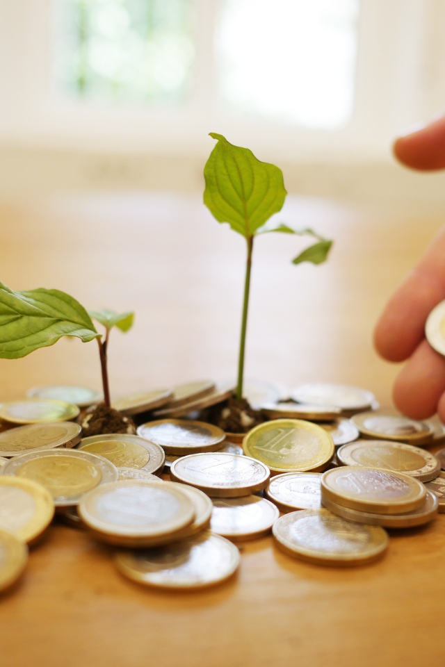 Монеты один евро с ростками на столе 