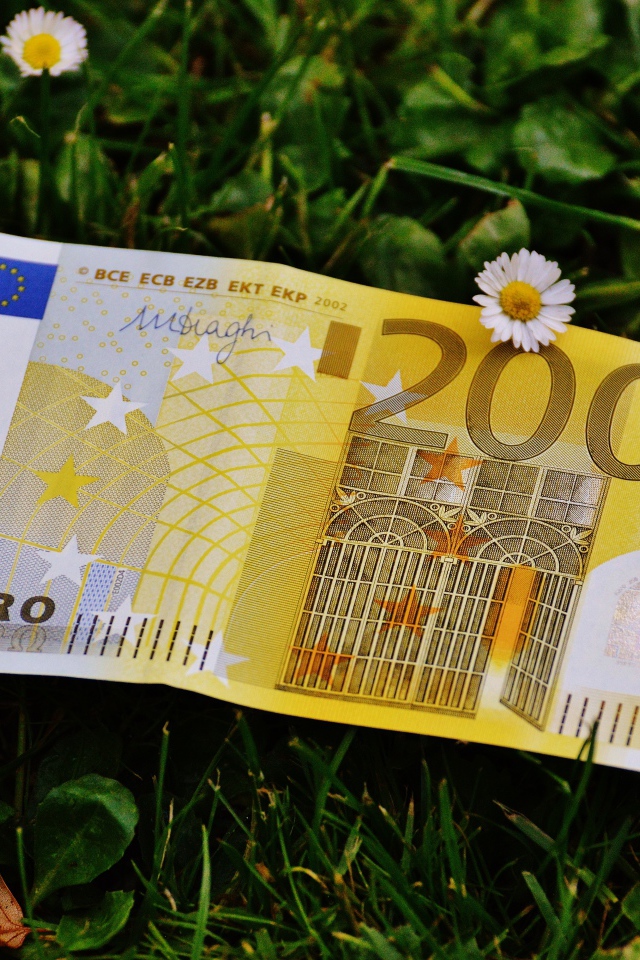 Купюра двести евро лежит на зеленой траве