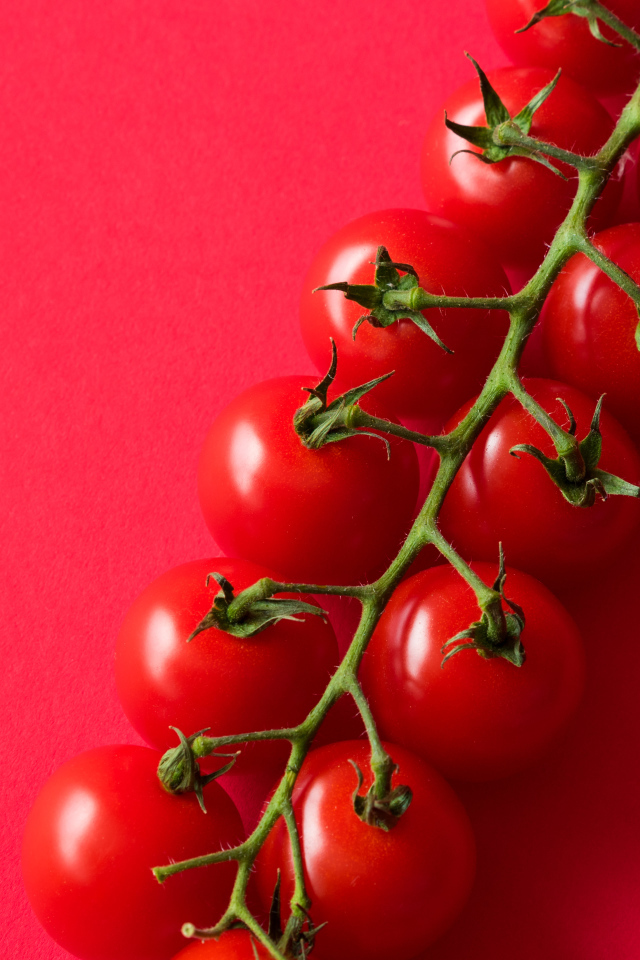 Много красных спелых помидоров на розовом фоне