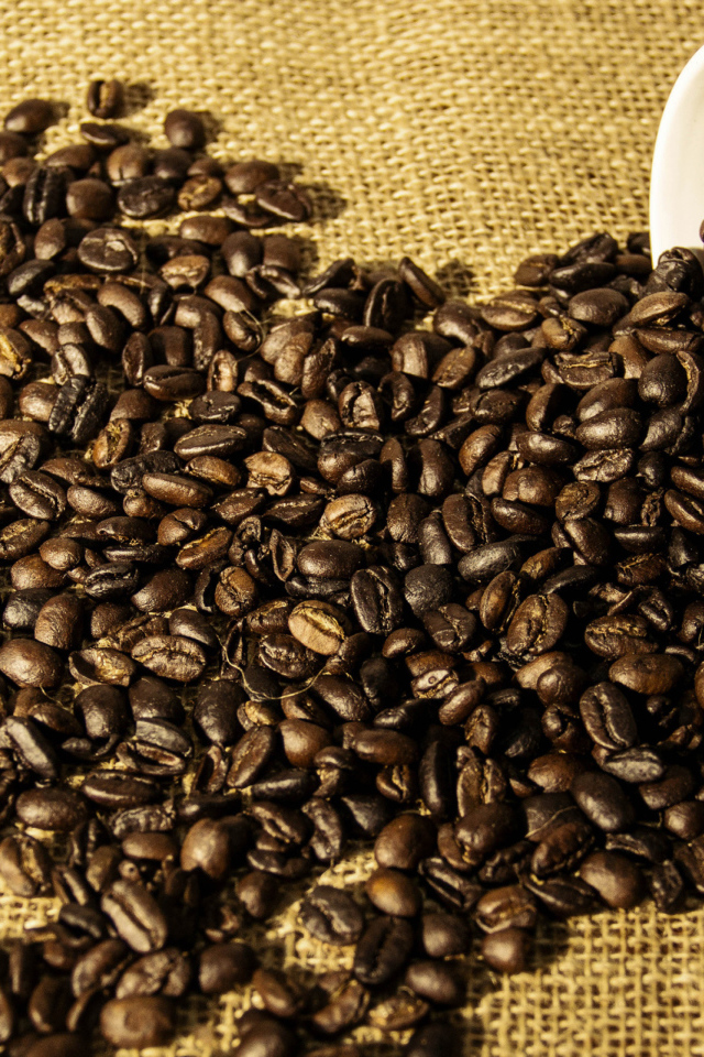 Кофейные зерна высыпаются из белой чашки 