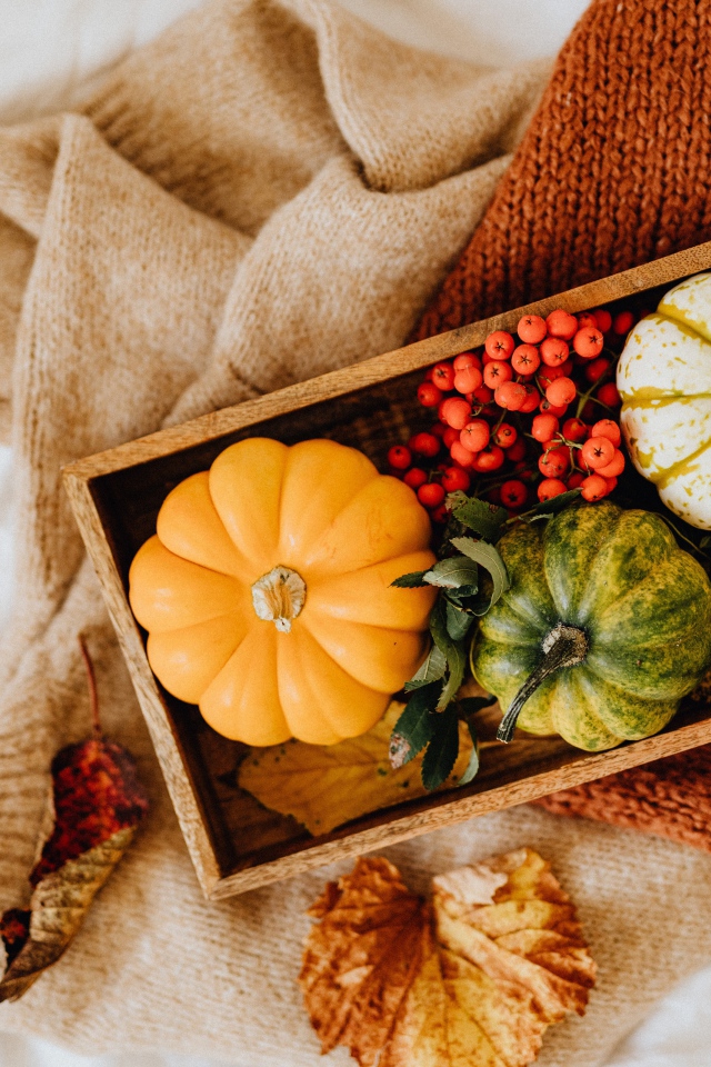 Декоративная тыква в ящике на столе с рябиной