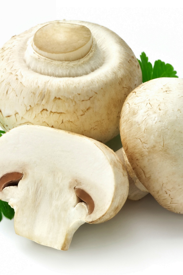 Свежие шампиньоны на белом фоне с петрушкой 