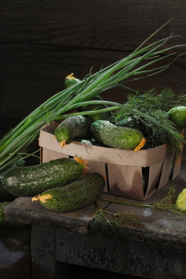 Свежие огурцы на столе  с зеленым луком и укропом