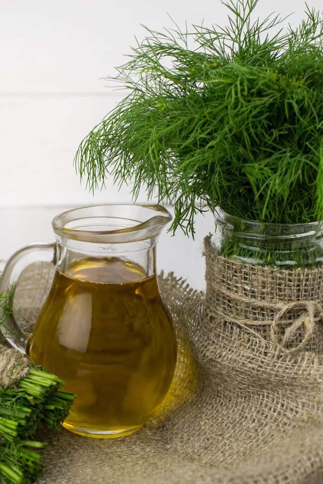 Свежий укроп на столе с оливковым маслом 