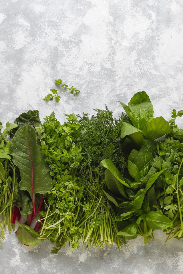 Свежая ароматная зелень на столе 