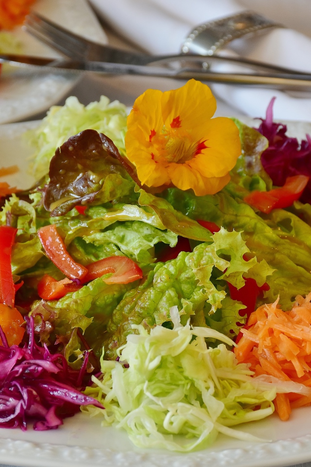 Салат из свежих овощей и зелени на большой белой тарелке 