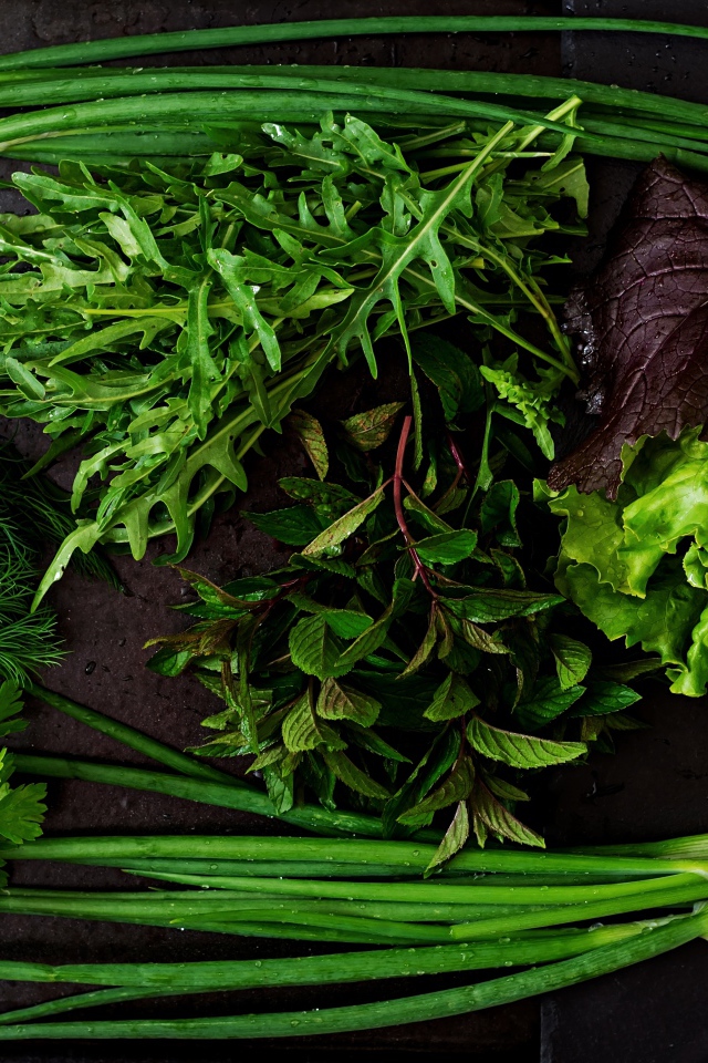 Свежая мокрая зелень лежит на столе 